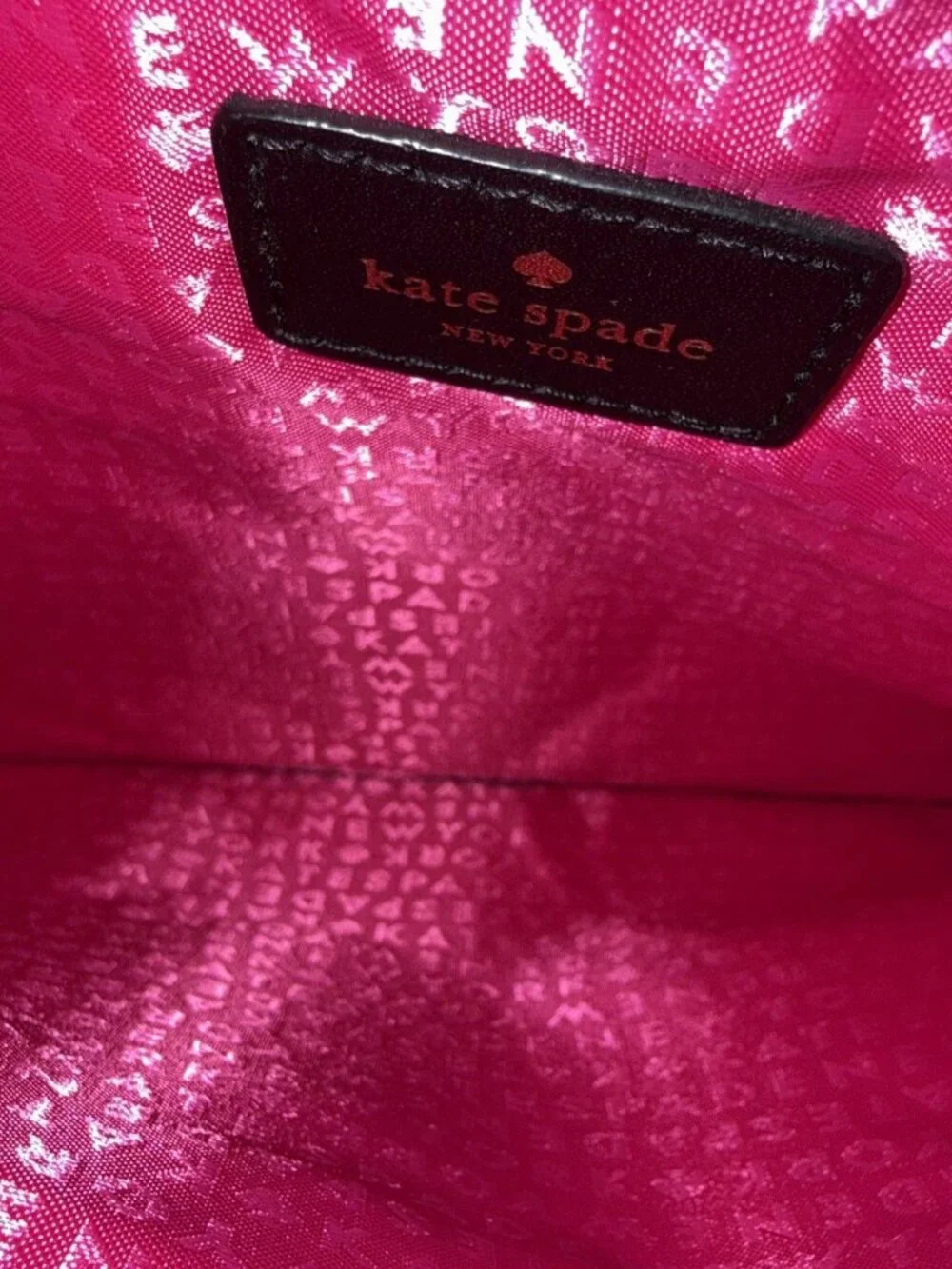 Rare Kate Spade New York Holographic Dancing Vinyl Slim Clutch Pouch Bag-Video!